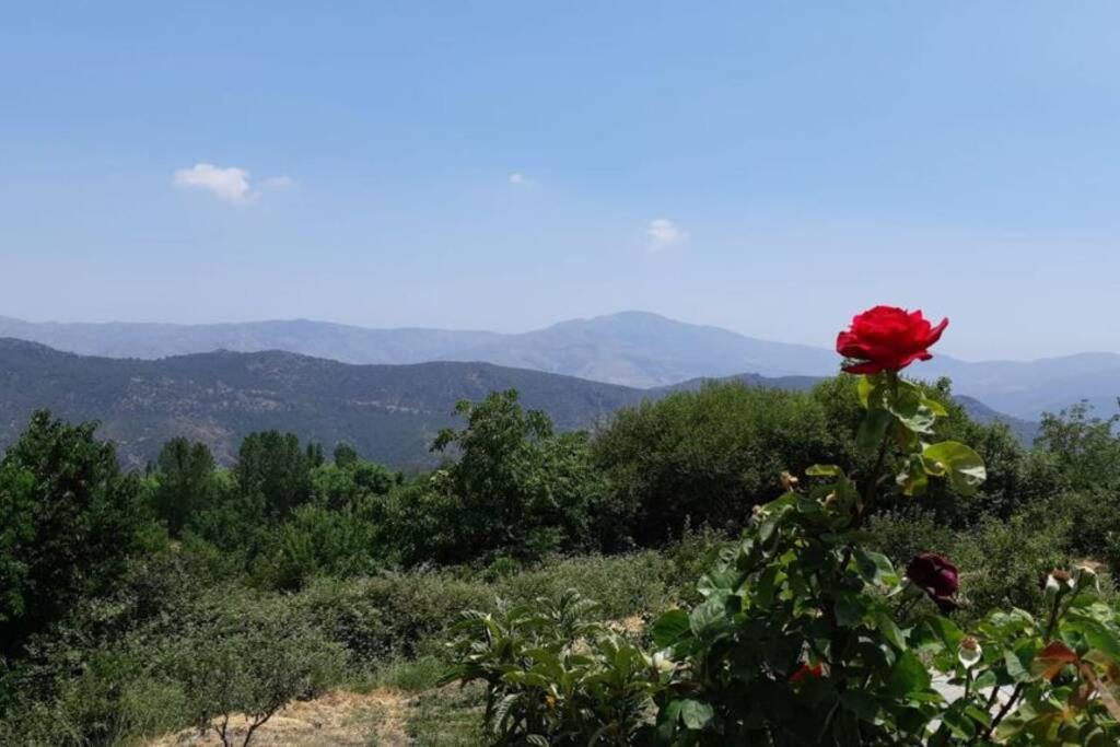 Villa Cortijo Jiménez - Casa Rural à Pitres Extérieur photo