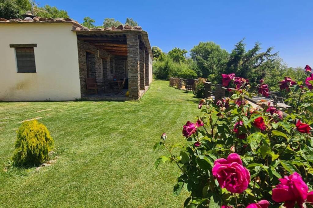 Villa Cortijo Jiménez - Casa Rural à Pitres Extérieur photo